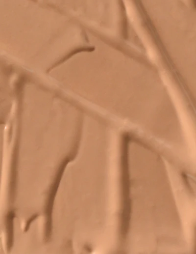 Living Nature Foundation-純蜂蜜 30毫升