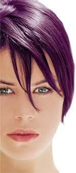 Herbatint Permanent Herbal Haircolour Gel -Violet FF4
