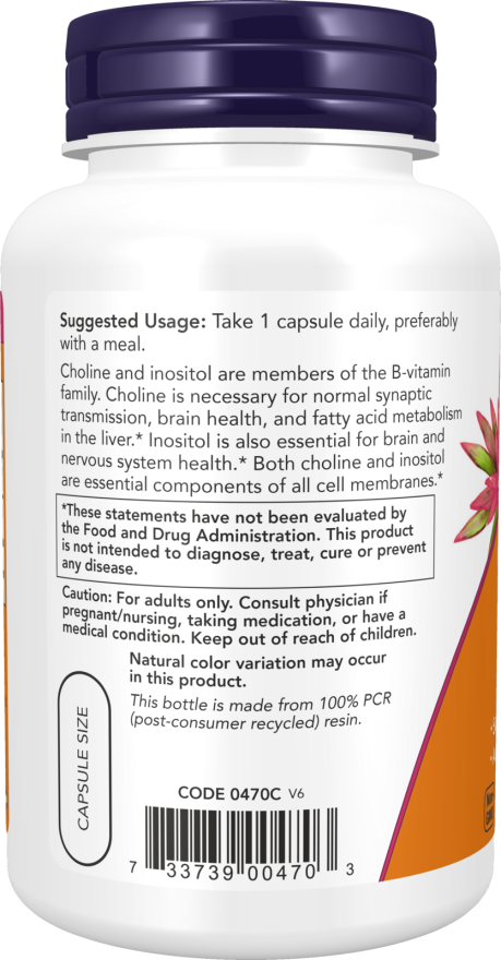 Now 膽鹼和肌醇素食膠囊 100 