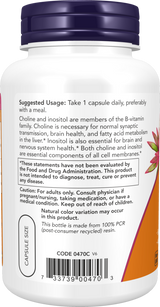 Now 膽鹼和肌醇素食膠囊 100 